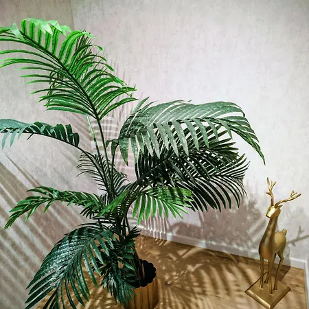 Apartman Steinmetz - Mit Whirlpool Bei Koeln