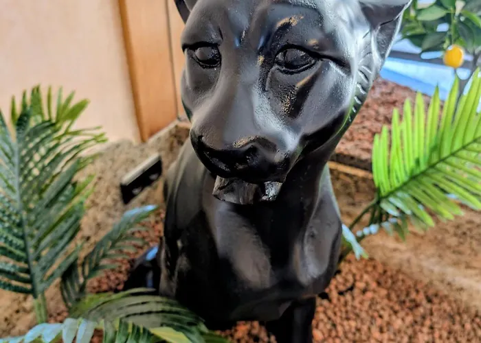 Villa Steinmetz - Whirlpool, Bar & Koeln In 20 Min Bergisch Gladbach